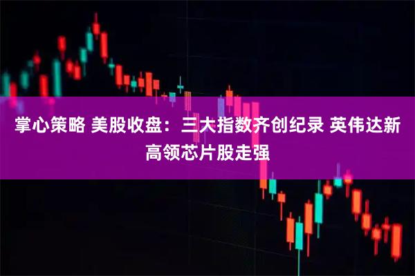 掌心策略 美股收盘：三大指数齐创纪录 英伟达新高领芯片股走强