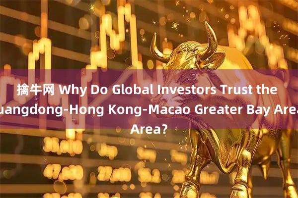 擒牛网 Why Do Global Investors Trust the Guangdong-Hong Kong-Macao Greater Bay Area？