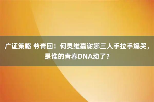 广证策略 爷青回！何炅维嘉谢娜三人手拉手爆哭，是谁的青春DNA动了？